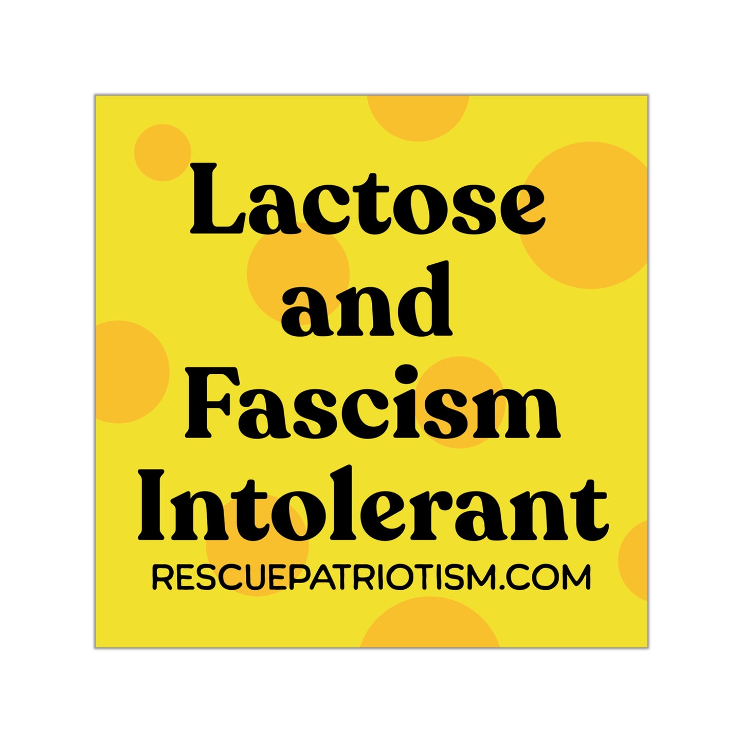 "Lactose and Fascism Intolerant" 3.5" or 5" Square Vinyl Sticker