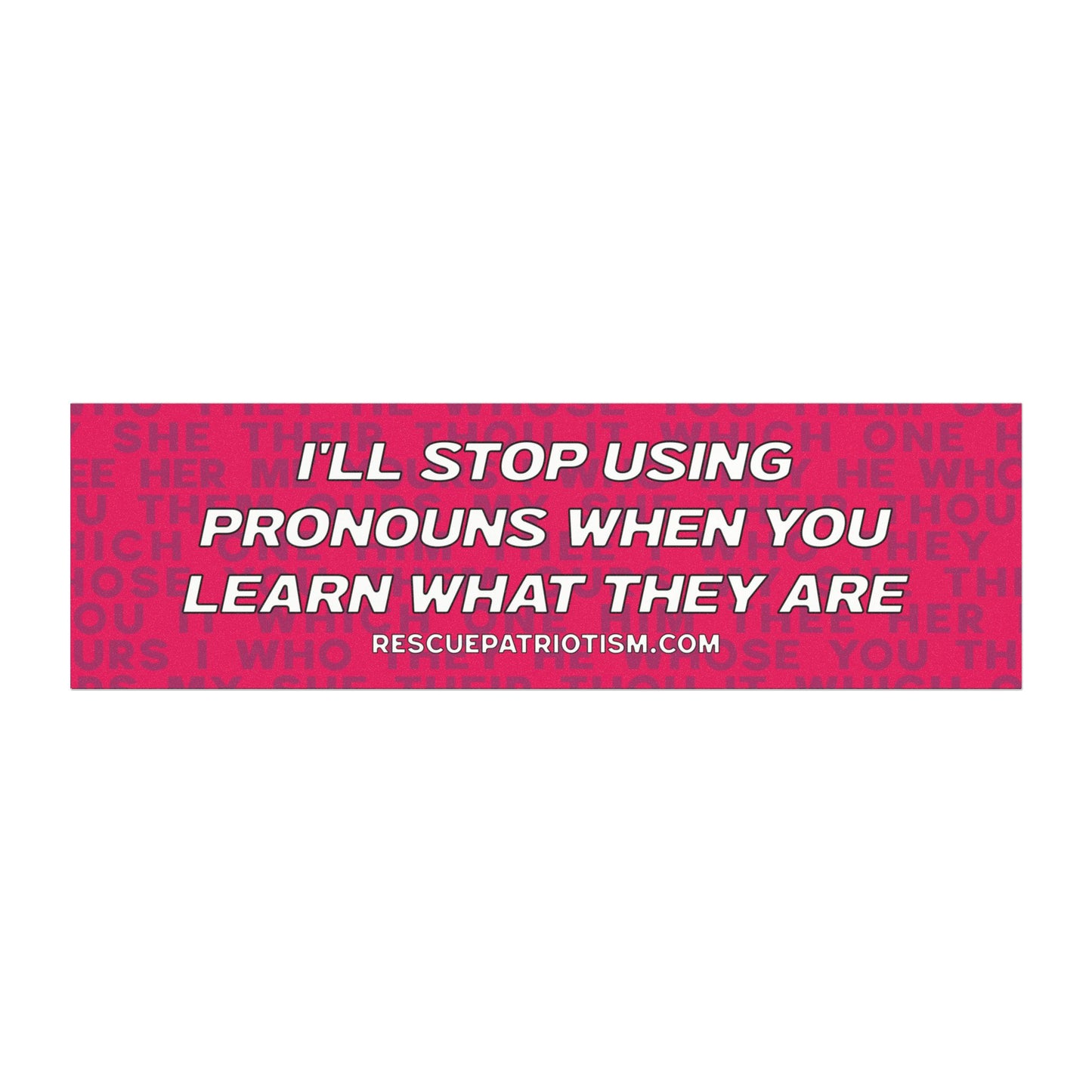 "I'll Stop Using Pronouns When You Learn What They Are" 10"x3" Bumper Magnet