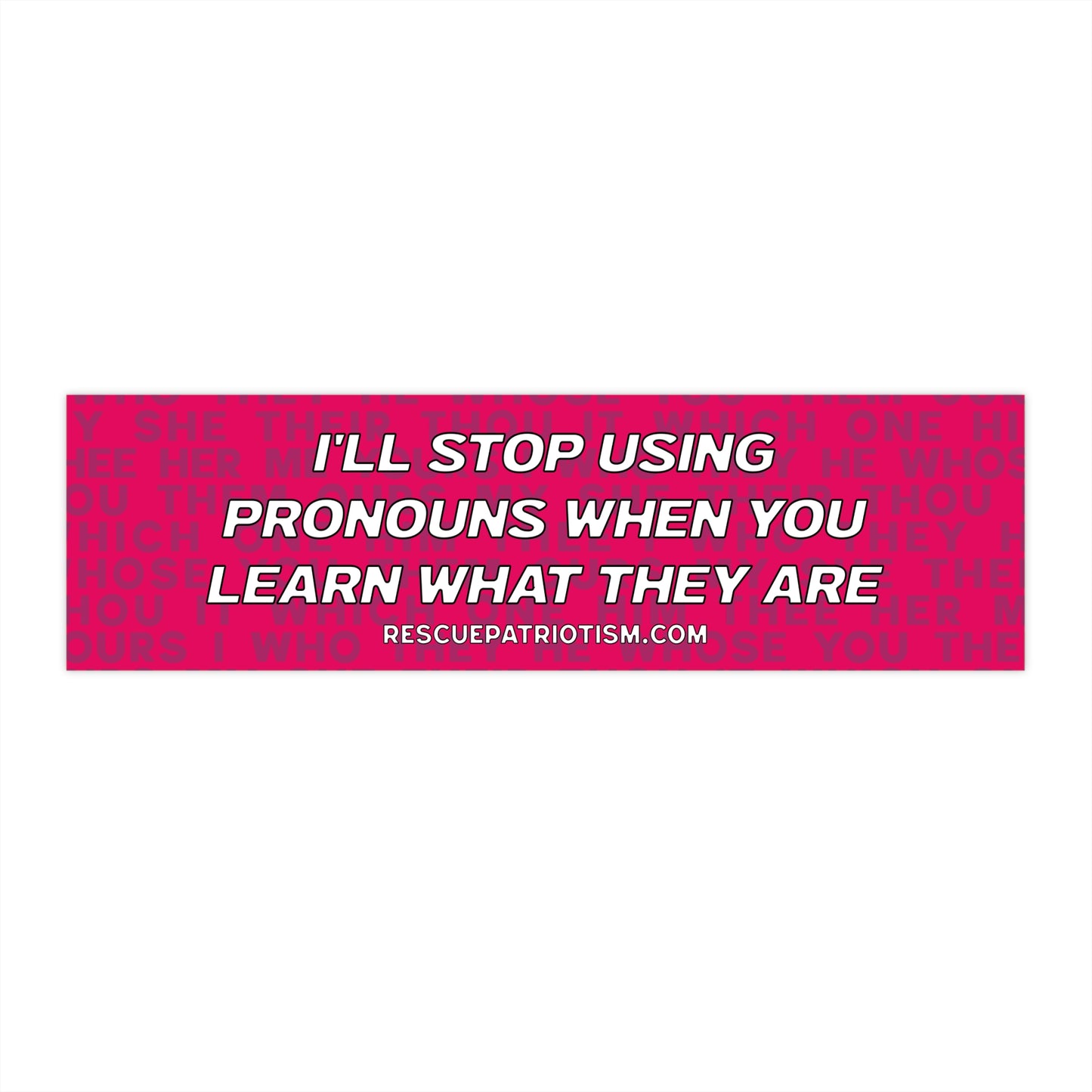 "I'll Stop Using Pronouns When You Learn What They Are" 11"x3" Bumper Sticker