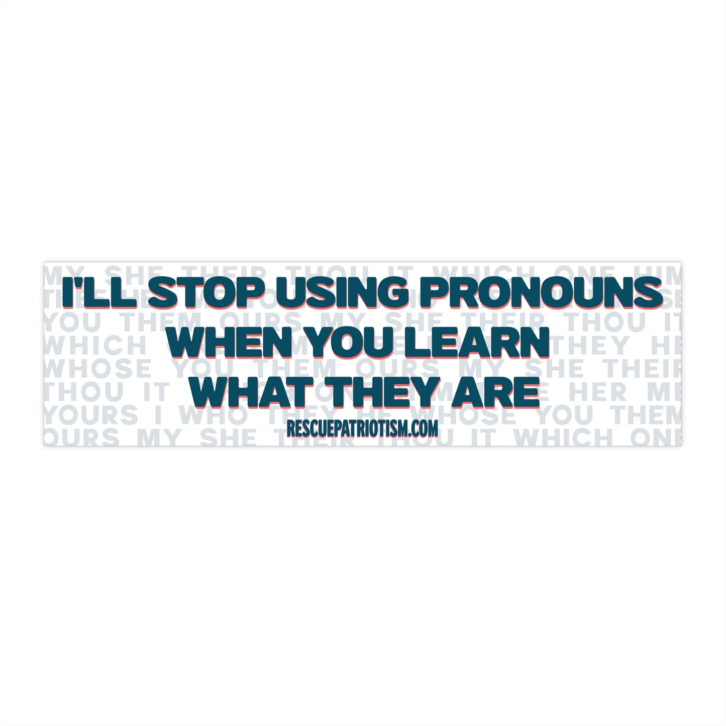 "I'll Stop Using Pronouns When You Learn What They Are" 11"x3" Bumper Sticker
