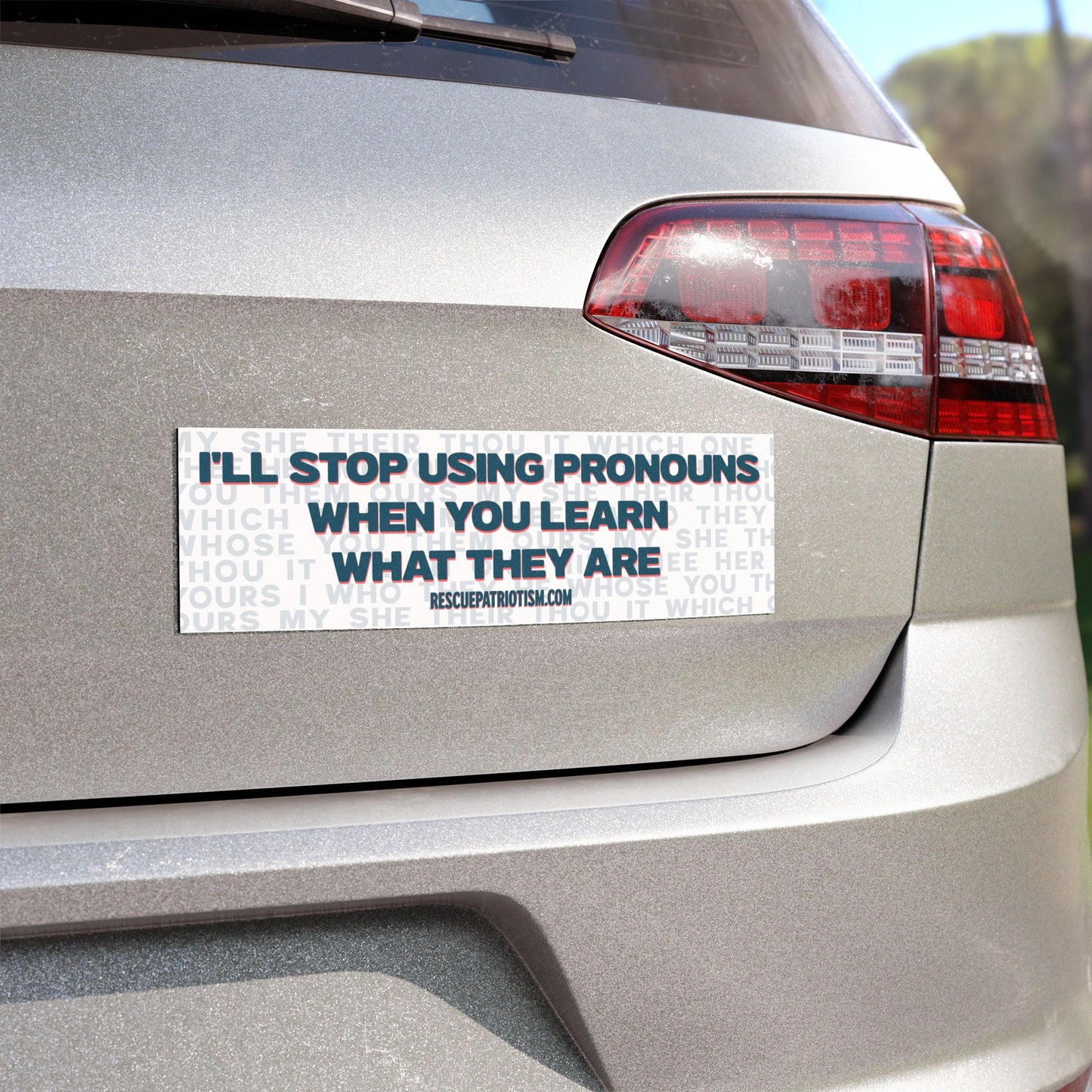 "I'll Stop Using Pronouns When You Learn What They Are" 10"x3" Bumper Magnet