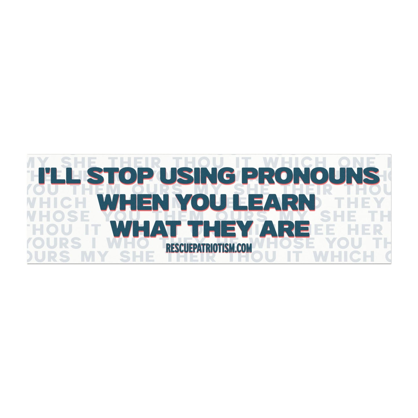 "I'll Stop Using Pronouns When You Learn What They Are" 10"x3" Bumper Magnet