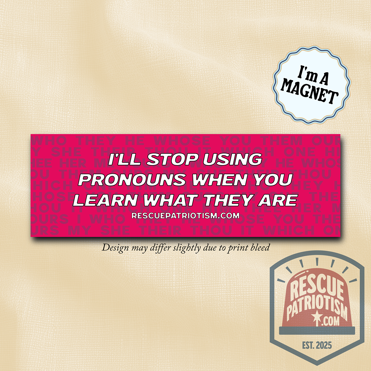 "I'll Stop Using Pronouns When You Learn What They Are" 10"x3" Bumper Magnet