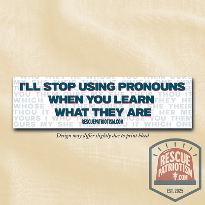 "I'll Stop Using Pronouns When You Learn What They Are" 11"x3" Bumper Sticker