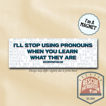 "I'll Stop Using Pronouns When You Learn What They Are" 10"x3" Bumper Magnet