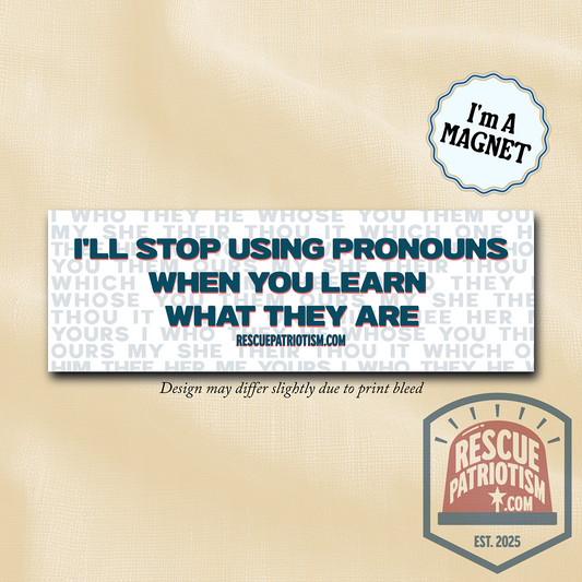 "I'll Stop Using Pronouns When You Learn What They Are" 10"x3" Bumper Magnet