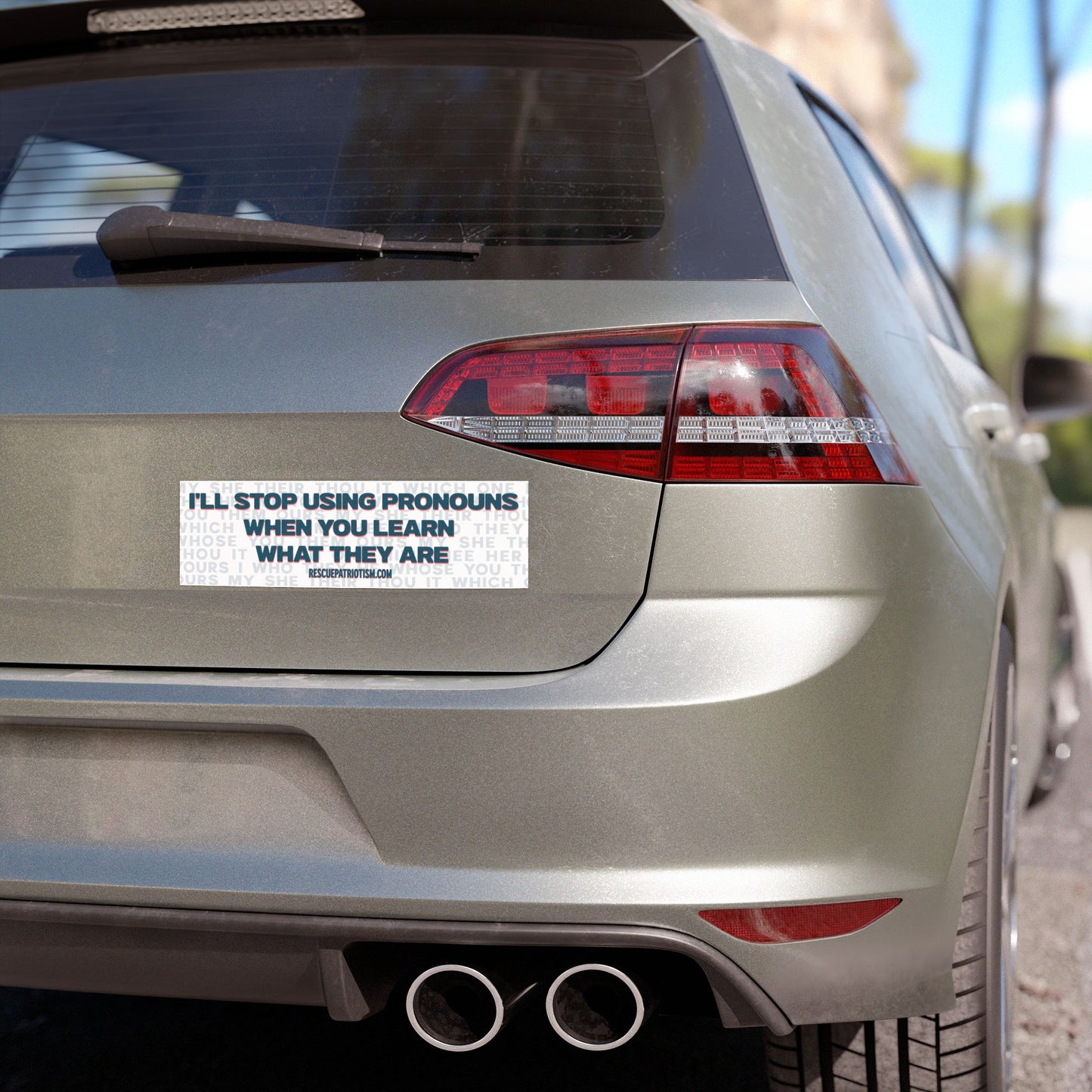 "I'll Stop Using Pronouns When You Learn What They Are" 10"x3" Bumper Magnet