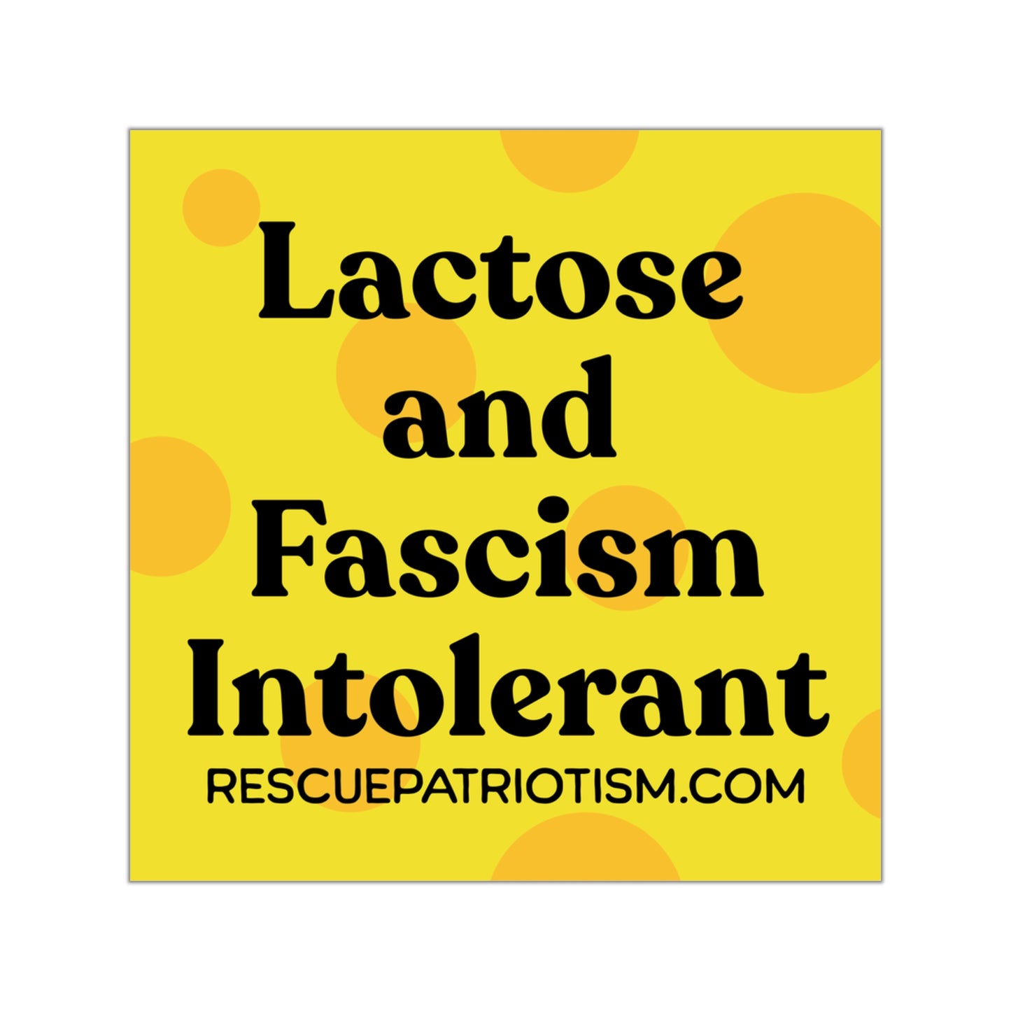 "Lactose and Fascism Intolerant" 3.5" or 5" Square Vinyl Sticker