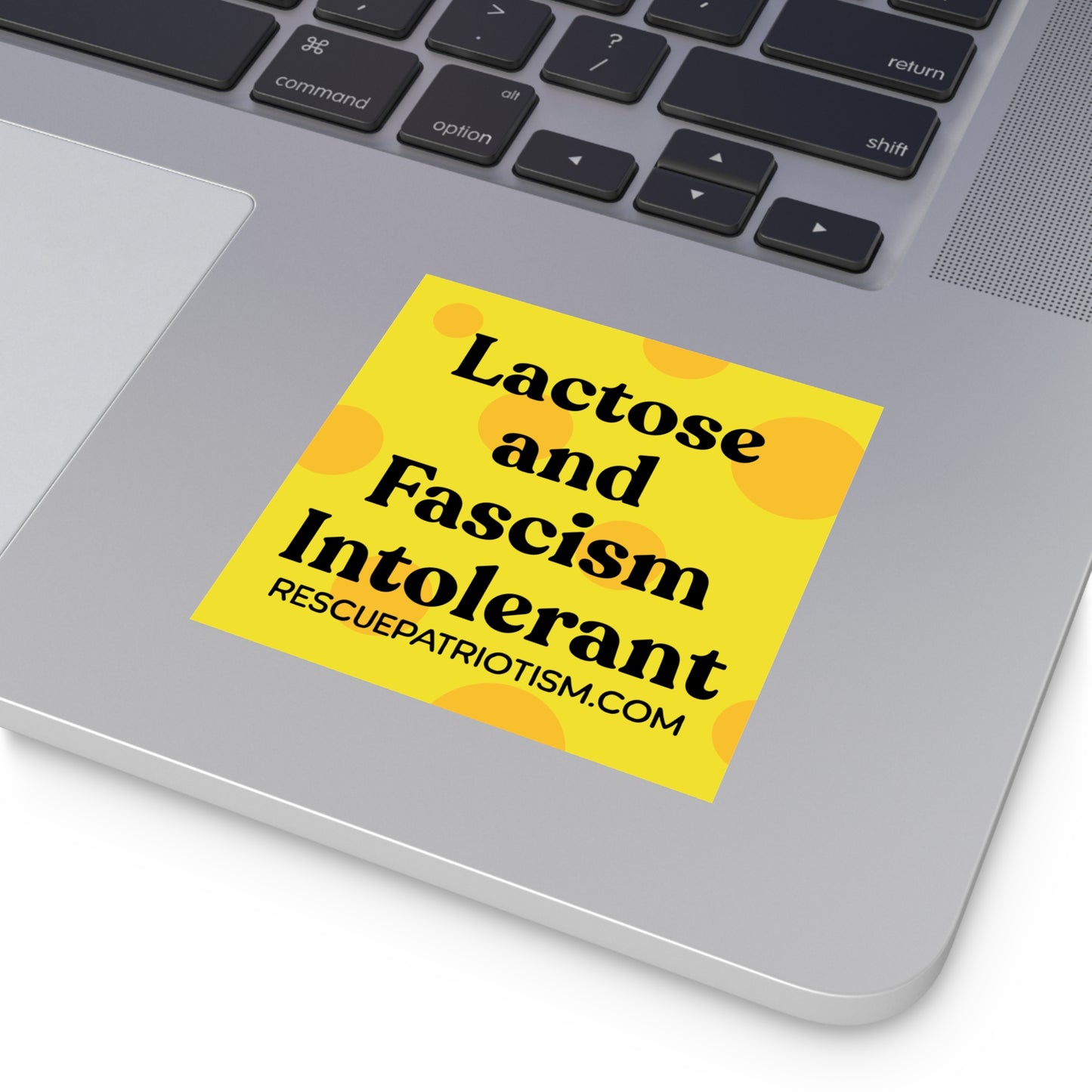 "Lactose and Fascism Intolerant" 3.5" or 5" Square Vinyl Sticker